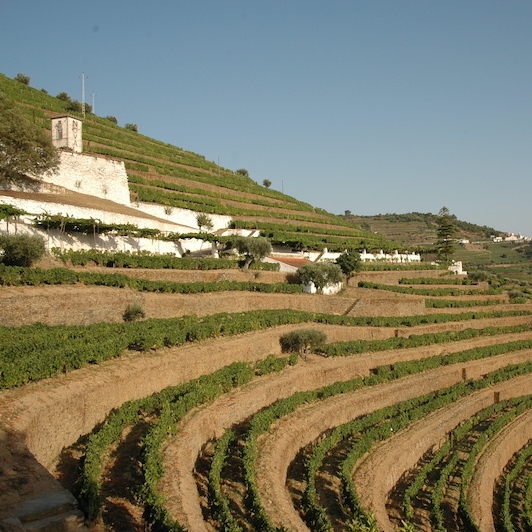 Monográfico Vinos de Oporto