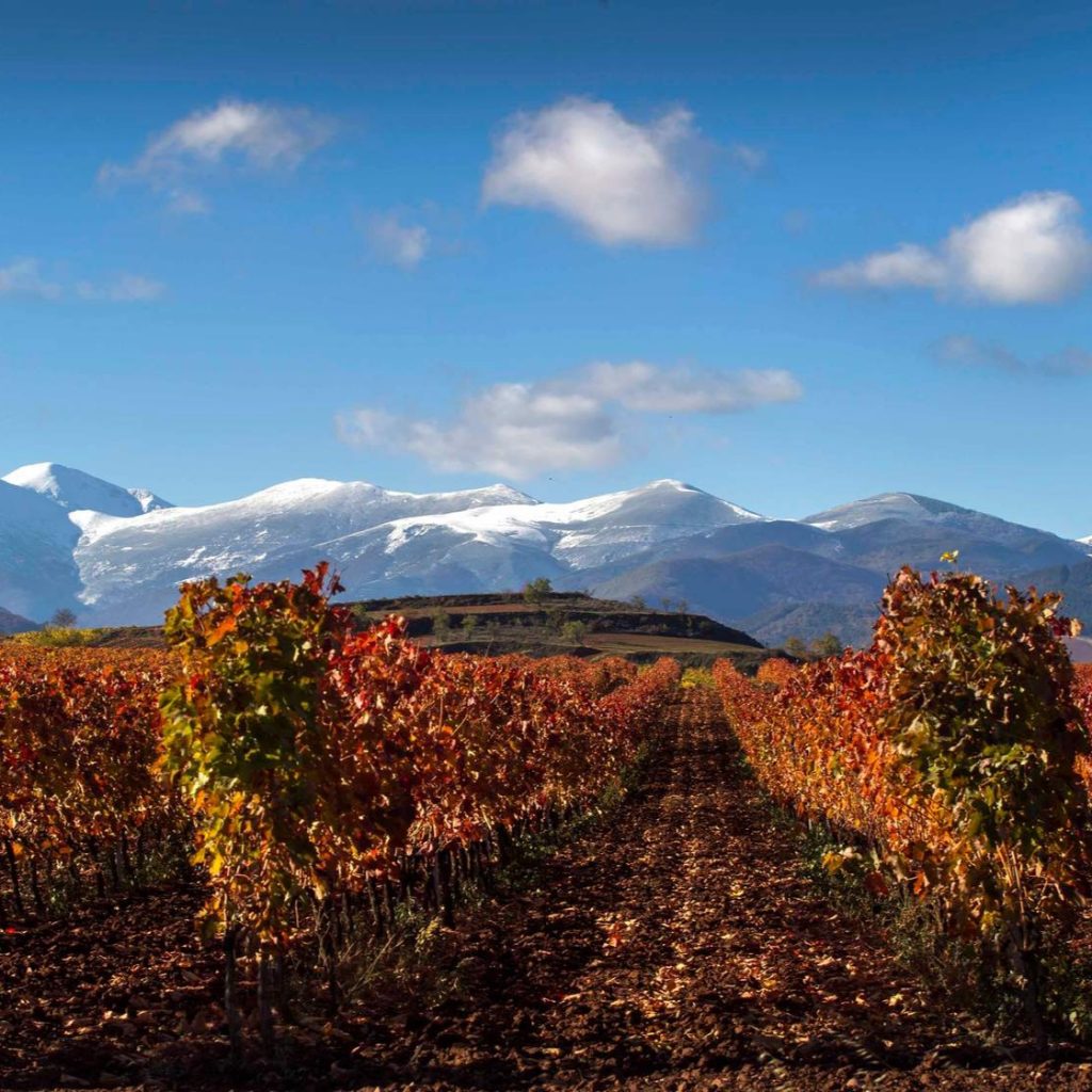 Masterclass La Nueva Rioja